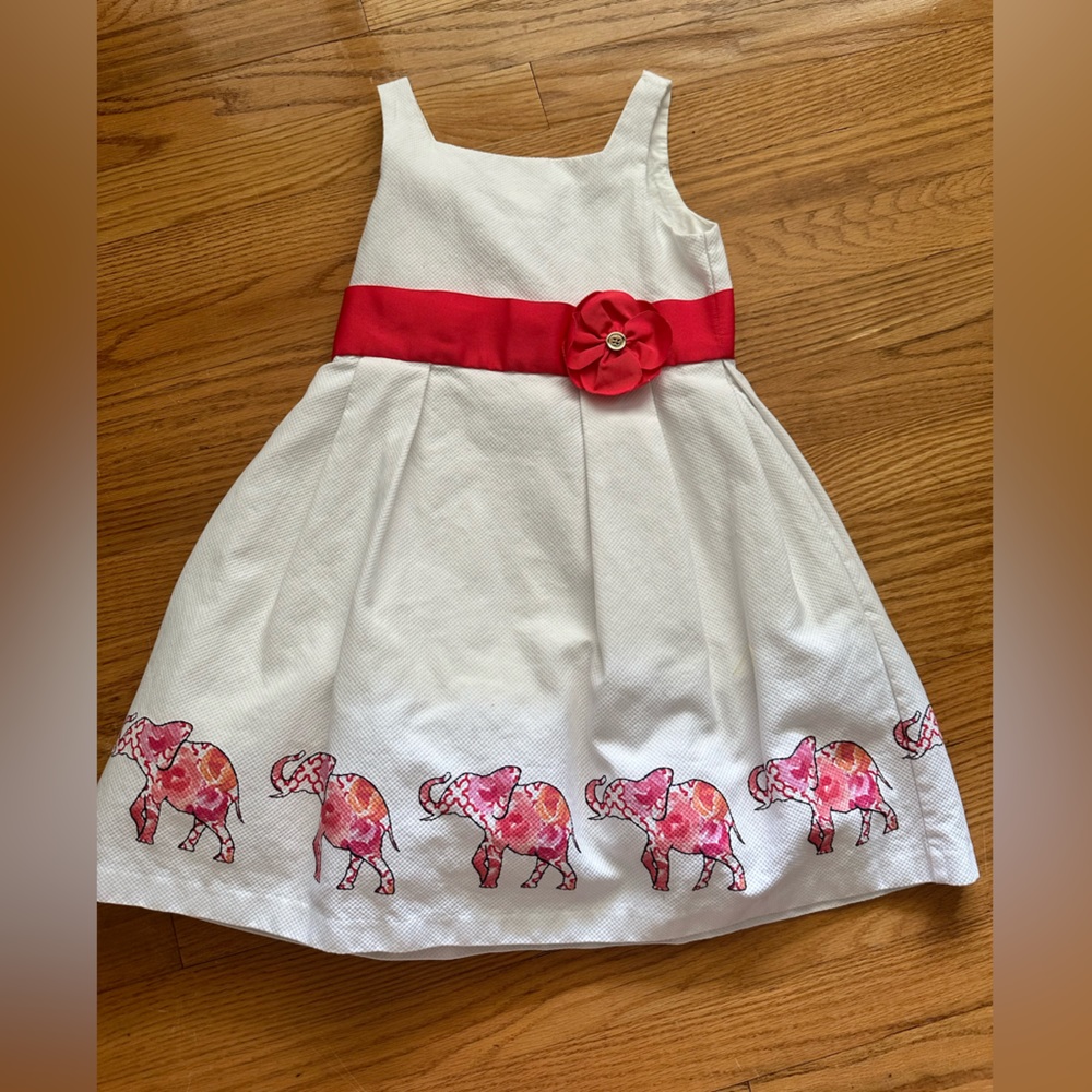 Janie and Jack dress. Buttons down the back. Skirt will filler.